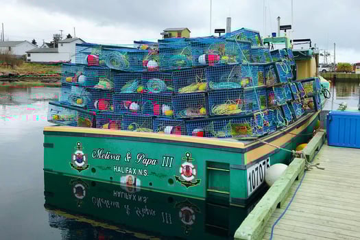 New World Record Tuna 430 LBS! | Pisces Sportfishing