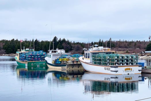 Boat photo for World-Class Canadian Bluefin