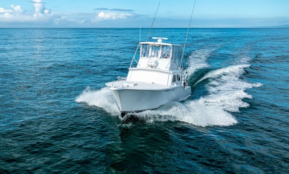Boat photo for 4-Night Sportfish Slam