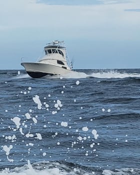 Boat photo for Destin Fishing Trip
