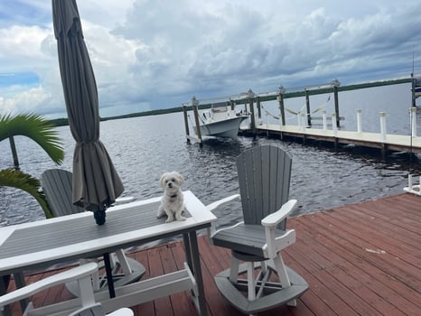Boat photo for Everglades Super Slam