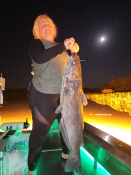 Boat photo for Eastern Shore River Bowfishing