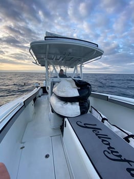 Boat photo for Holmes Beach "Silver King" Slam