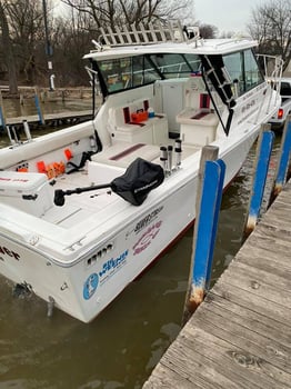 Boat photo for Michigan Salmon Action