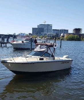 Boat photo for Plymouth Striped Bass Special