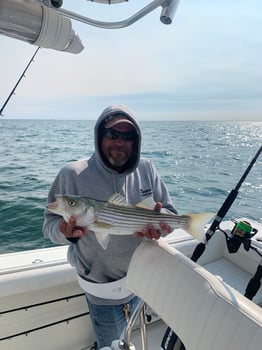 Boat photo for Cape Cod Bay Bass and Bluefish