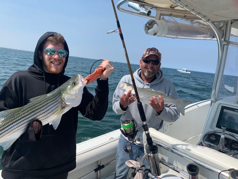 Boat photo for Cape Cod Bay Bass and Bluefish