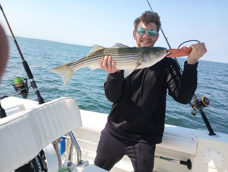 Boat photo for Cape Cod Bay Bass and Bluefish