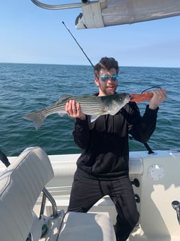 Boat photo for Cape Cod Bay Bass and Bluefish