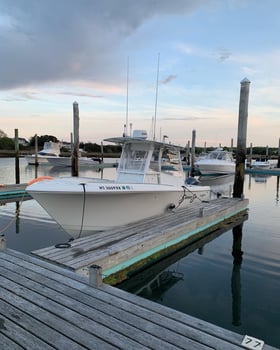 Boat photo for Cape Cod Bay Bass and Bluefish
