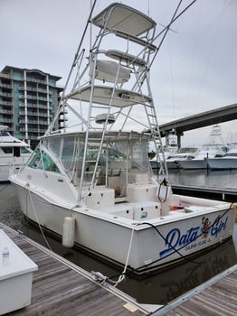 Boat photo for Gulf Shores Deep Sea Trip