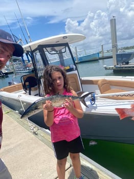 Boat photo for Offshore Adventure - 25' Sea Hunt