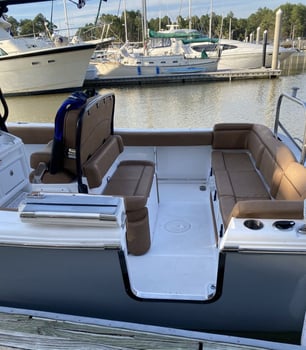 Boat photo for Offshore Adventure - 25' Sea Hunt