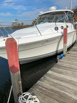 Boat photo for Lake Michigan Charter Adventure