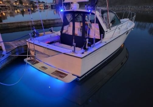 Boat photo for Manistee Salmon and Steelhead