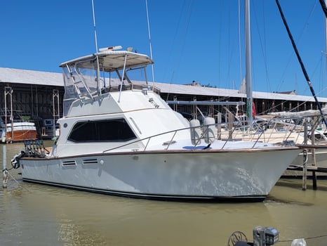 Boat photo for Lake Erie Caster - 37' Pace