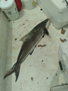 Boat photo for 3hr. Inshore 3hr. Offshore combo 