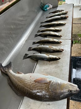 Boat photo for 3hr. Inshore 3hr. Offshore combo 