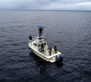 Boat photo for Mako Shark on the Fly
