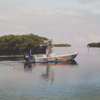 Boat photo for Tampa Bay Shark Hunt