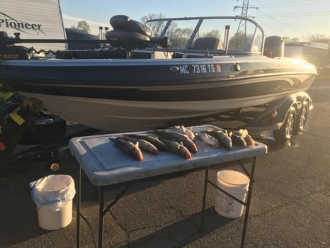 Boat photo for Lake Erie Walleye