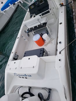 Boat photo for Paradise Island Fishing