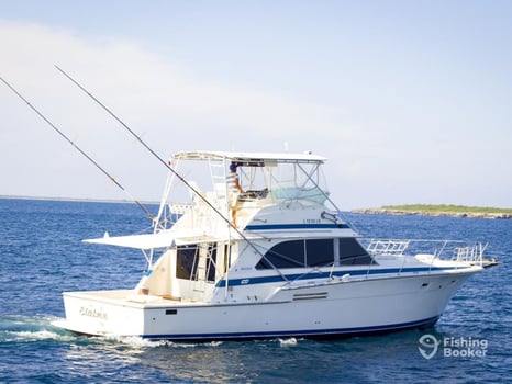 Boat photo for Offshore Punta Cana - 47' Bertram