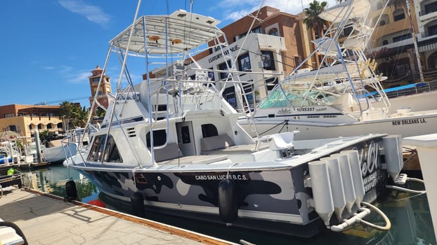 Boat photo for Cabo Full-Day or Half-Day