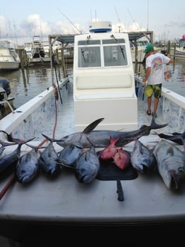 Boat photo for Venice Offshore Adventure