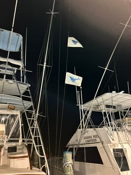 Boat photo for Extended Swordfish Trip