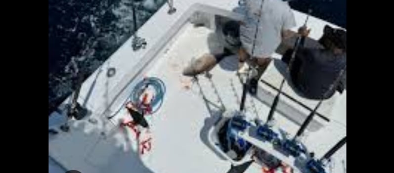Boat photo for 40’ Yacht Sport Fish Offshore