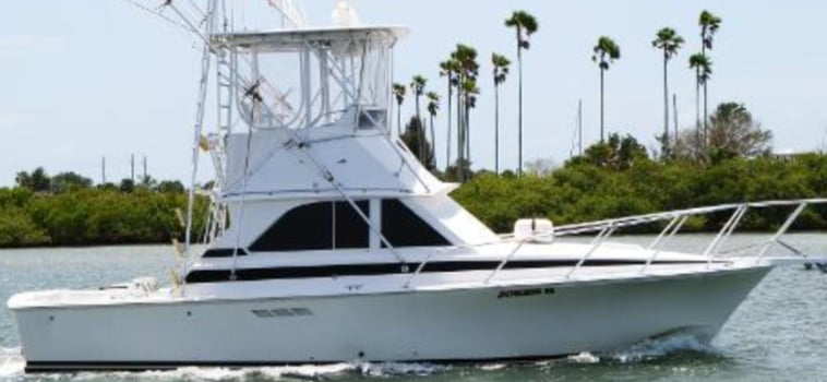 Boat photo for Hogfish Trip - 48’ Sportfish Yacht