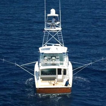 Boat photo for Bimini VIPs - 2 Days 61’ Viking