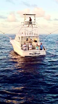 Boat photo for Key West Offshore Experience