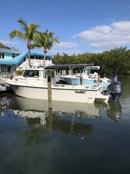 Boat photo for Red Grouper Special