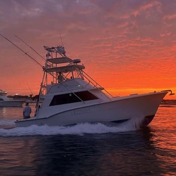 Boat photo for Nearshore/Offshore Combo
