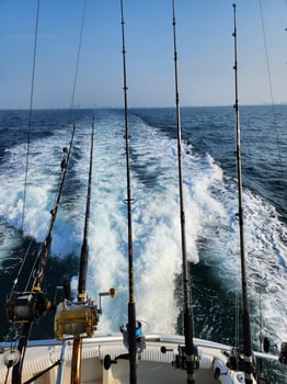 Boat photo for All Day Deep Drop
