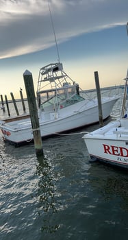 Boat photo for Best Red Snapper Fishing - Gulf Shores