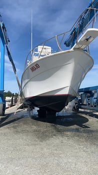 Boat photo for Half Day Trolling Fun