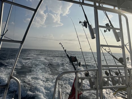 Boat photo for Snapper Quest: Unforgettable!