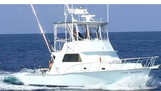 Boat photo for Snapper Quest: Unforgettable!