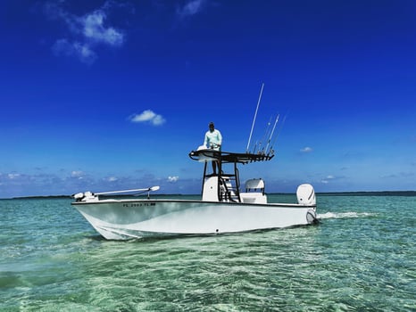 Boat photo for Afternoon 1/2 day fishing