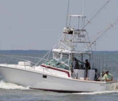 Boat photo for 5 Hr Bottom Fishing & Trolling