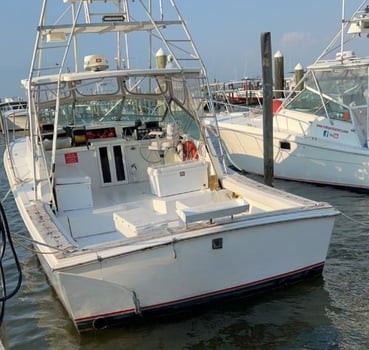 Boat photo for 5 Hr Bottom Fishing & Trolling