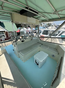 Boat photo for Full Day 8-12 Hours