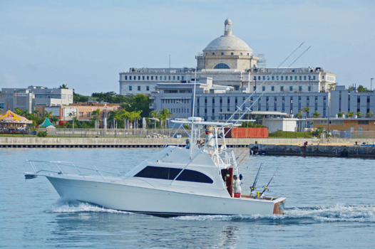 Boat photo for Caribbean Fishing Teaser 42'
