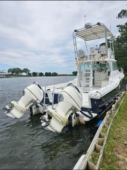 Boat photo for Snapper 6 Hr Am