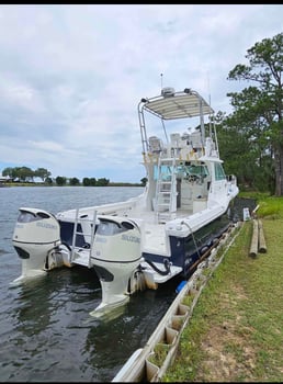Boat photo for Snapper 6 Hr Am