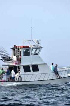 Boat photo for 6 Hour AM Bottom Fishing & Trolling