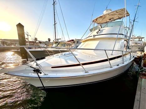 Boat photo for 6 hr Rig/Reef/Wrecks/Shrimpers